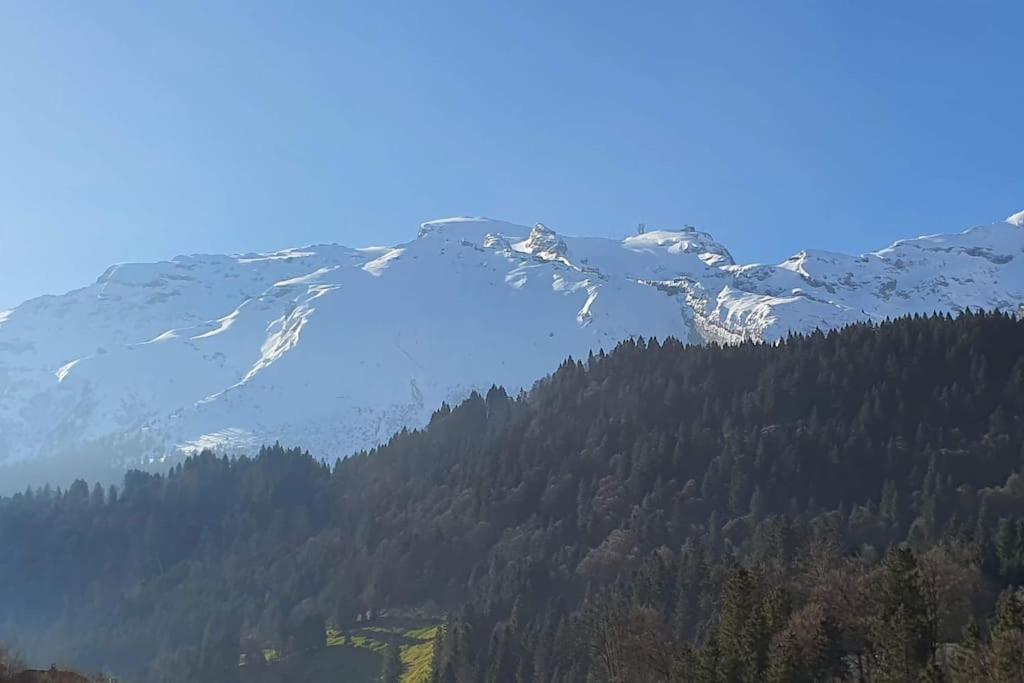 Tannenboden Engelberg