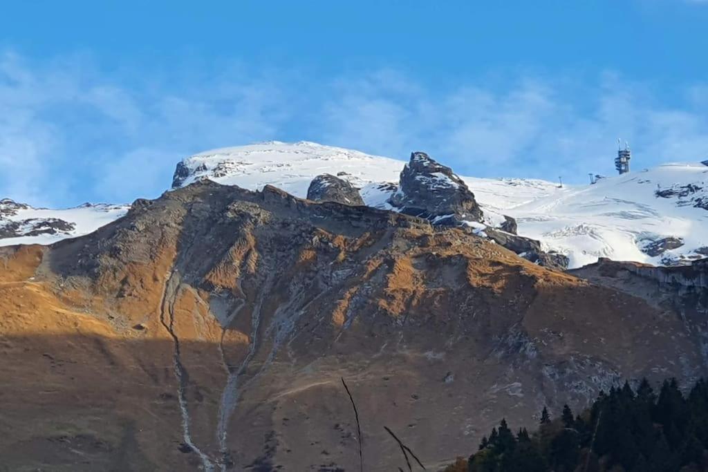 Apartment Tannenboden Engelberg