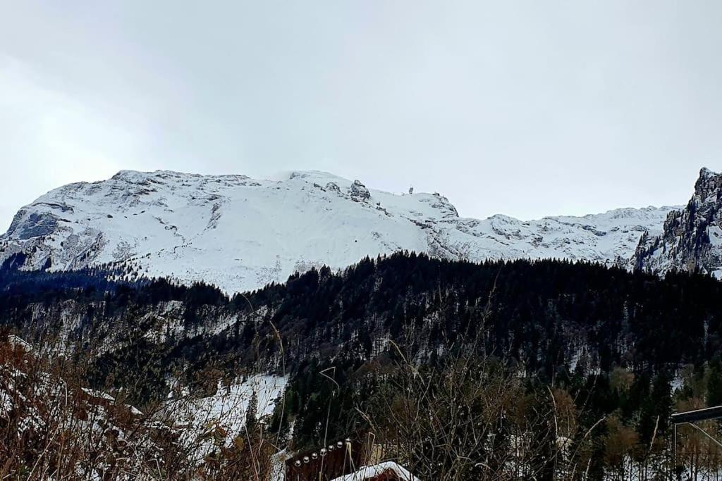 Apartment Tannenboden Engelberg